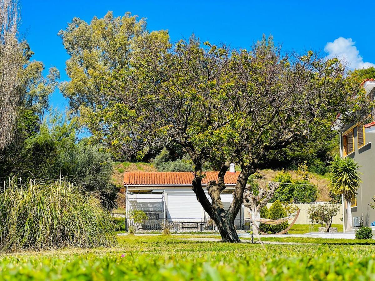 Gazonia Family Estate 호텔 Skala  외부 사진